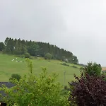 Am Bei Willingenwinterberg