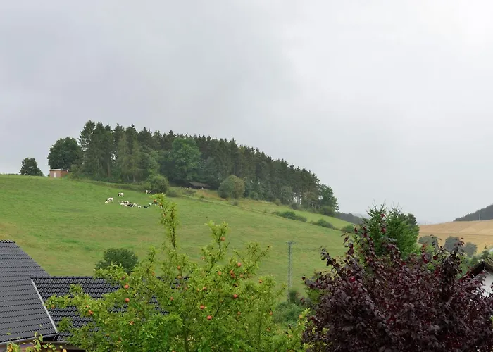 Am Bei Willingenwinterberg