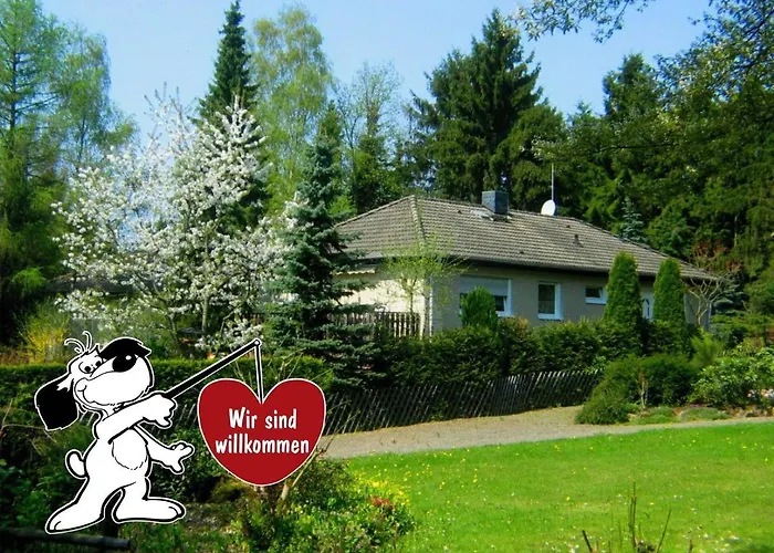 Apartamento Am Bei Willingenwinterberg *
